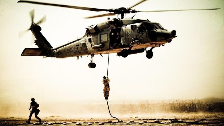 Curiosidades de Black Hawk derribado (2001)