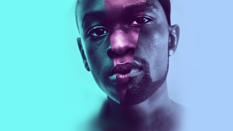 Curiosidades de Moonlight (2016)