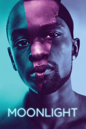 Curiosidades de Moonlight (2016)