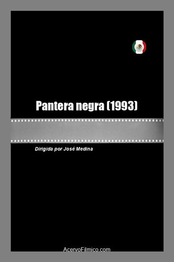 Curiosidades de Pantera Negra (2018)